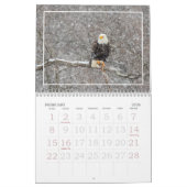 Tout Au Long De L'Année Avec Calendrier Des Aigles (Feb 2026)