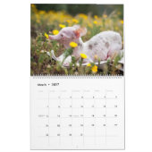 Tout calendrier de Rosie (Mar 2027)