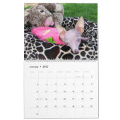 Tout calendrier de Rosie (Jan 2027)