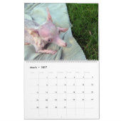 Tout calendrier de Rosie (Mar 2027)