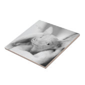 Tout carreau de céramique de Rosie (Côté)