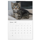 Tout Chatons Mignons Calendrier Mural 2027 Cadeau (Feb 2027)