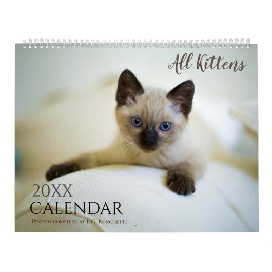 Tout Chatons Mignons Calendrier Mural 2027 Cadeau (Protection)
