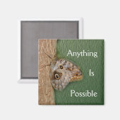 Tout Est Possible Magnet Papillon (Recto/Verso)