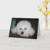 Tout ira bien Carte Chien (Fleur jaune)