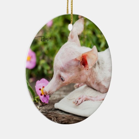 Tout ornement de photo de Rosie (Droite)