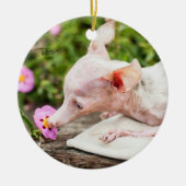 Tout ornement de photo de Rosie (Devant)