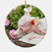 Tout ornement de photo de Rosie (Dos)