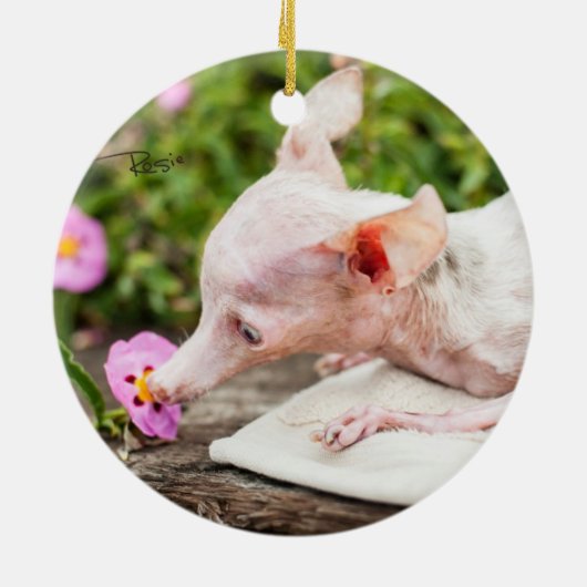 Tout ornement de photo de Rosie (Dos)