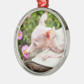 Tout ornement de photo de Rosie (Gauche)