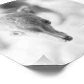 Tout Rosie Photo (Coin)