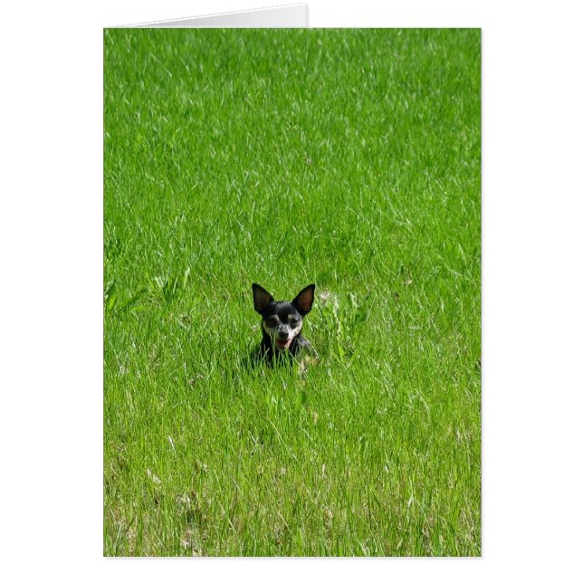 Tout seulement (Devant)