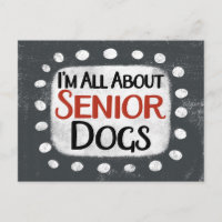 Tout sur la carte postale Chiens seniors