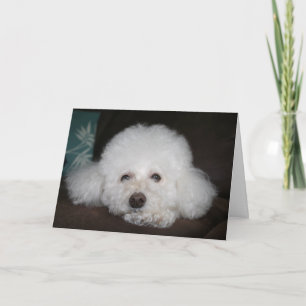 Tout va bien aller Carte Chien