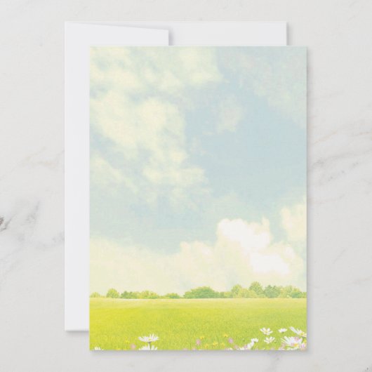 TOUTE Fête AGE au parc Kite Birthday Invitation (Dos)