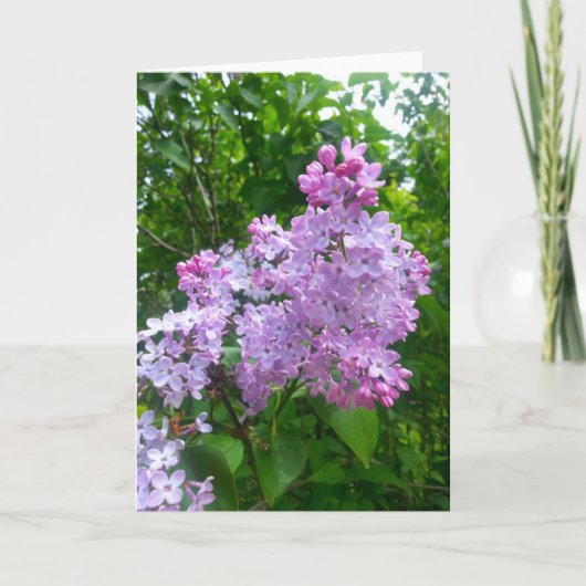 Toute la carte de voeux d'occasion (blanc à (Devant)