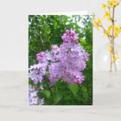 Toute la carte de voeux d'occasion (blanc à (Fleur jaune)