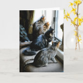 Toute la carte de voeux d'occasion - chats à la (Fleur jaune)