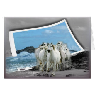 Toute la carte d'occasion