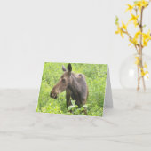 Toute la carte d'orignaux d'occasion (Fleur jaune)