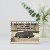 Toute la carte postale d'occasion avec le porc (Debout devant)