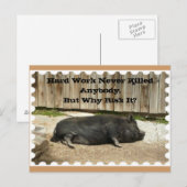 Toute la carte postale d'occasion avec le porc (Devant / Derrière)