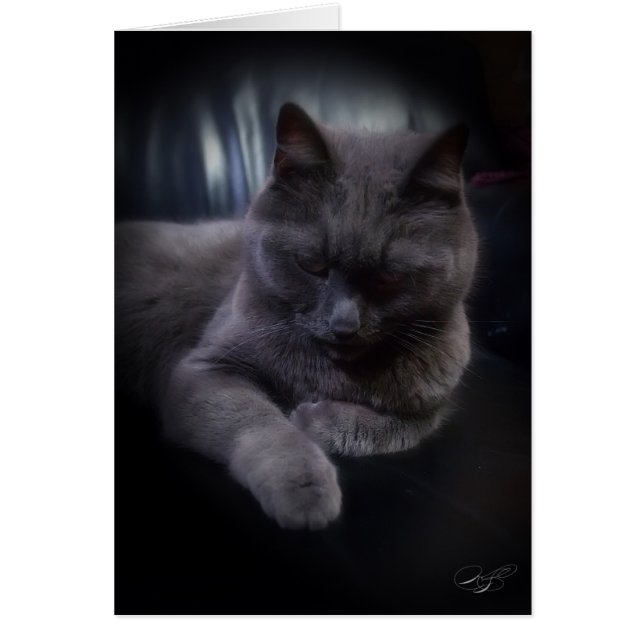 Toute la carte (vierge) d'occasions (Devant)