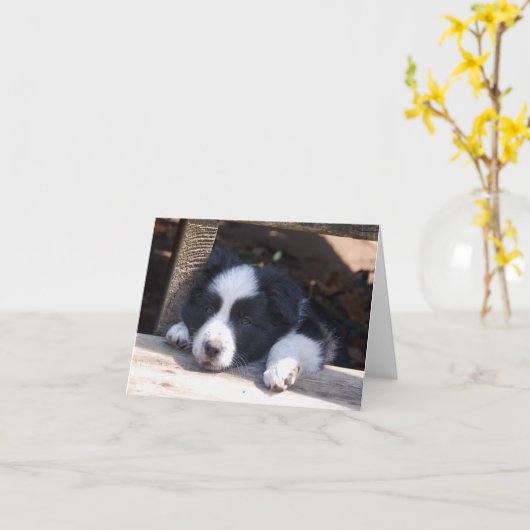 Toute la de Tuckered carte de note de chiot border (Fleur jaune)