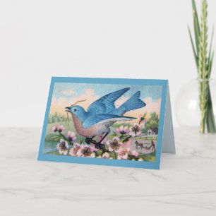 Toute Ocassion Bluebird Merci note