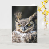 Toutes les cartes de note d'occasion comportant le (Fleur jaune)