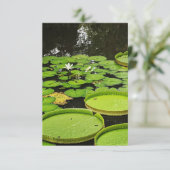 Toutes les cartes d'occasion (Debout devant)