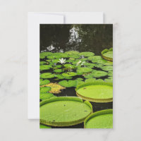 Toutes les cartes d'occasion