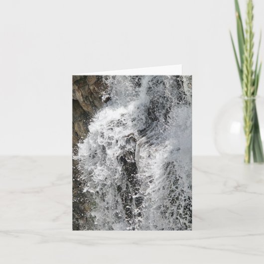 Toutes les cartes d'occasion (Devant)