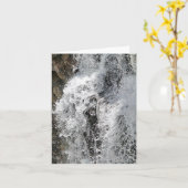 Toutes les cartes d'occasion (Fleur jaune)