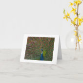 Toutes les cartes d'occasion (Fleur jaune)