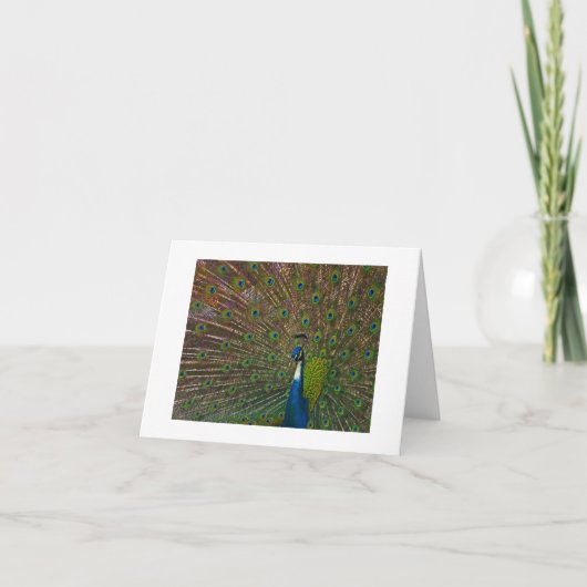 Toutes les cartes d'occasion (Devant)