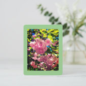 Toutes les cartes d'occasion, taille : 4,25 po x 5 (Debout devant)