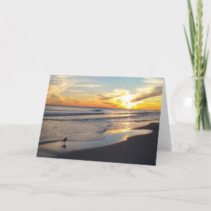 Toutes les cartes d'occasion - Vide à l'intérieur