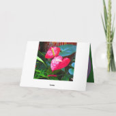 toutes les impressions Happy Anniversary Cartes de (Dos)