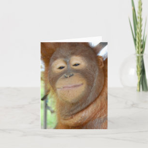 Toutes les occasions - créez votre propre carte de