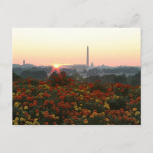 Toutes les trois cartes postales Sunrise