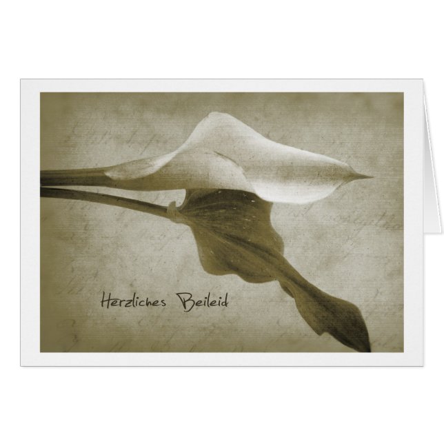 Toutes mes condoléances (Devant horizontal)