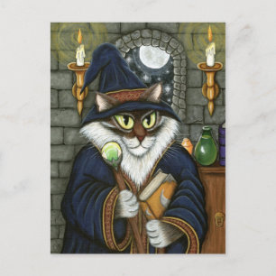 Tovenaar van Merlin Tovenaar Cat Magische Sorcerer Briefkaart