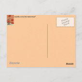 Tovenaar van Oz Briefkaart (Achterkant)