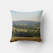 tovenares kussen (Achterkant)