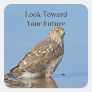 Toward Future Wild Raptor Bird Hawk Afstuderen Vierkante Sticker