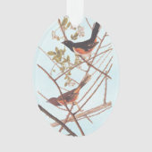 Towee Bunting Audubon Black and Orange Song Birds (devant)