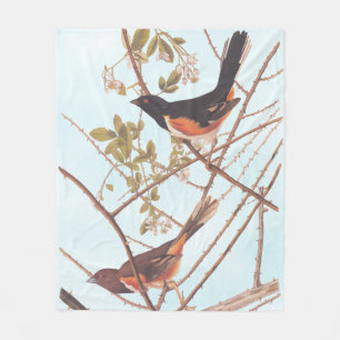Towee Bunting Audubon Black en Oranje Song Birds Fleece Deken