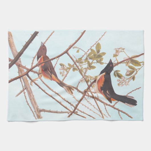 Towee Bunting Audubon Black en Oranje Song Birds Theedoek (Horizontaal)