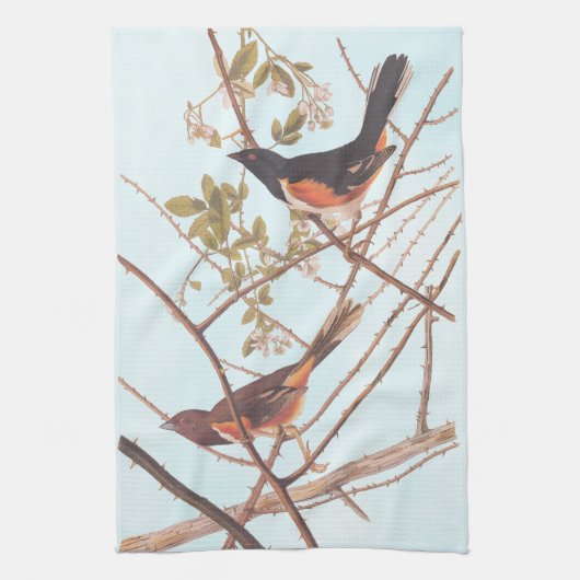 Towee Bunting Audubon Black en Oranje Song Birds Theedoek (Verticaal)